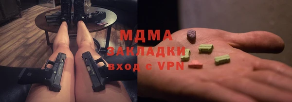 дживик Бородино