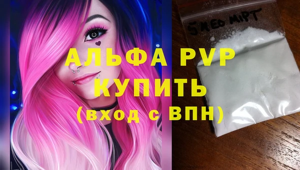 дживик Бородино