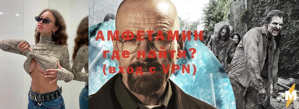 дживик Бородино