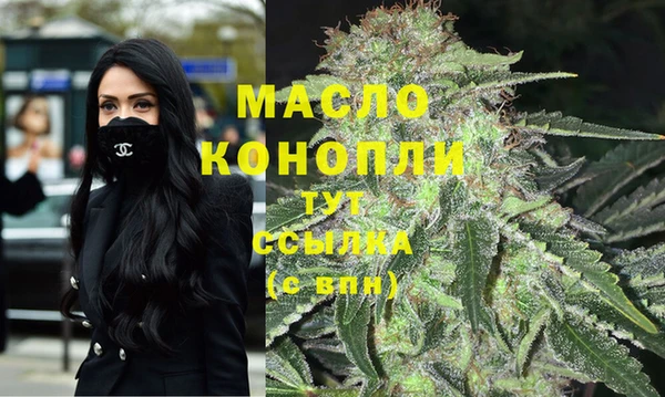дживик Бородино