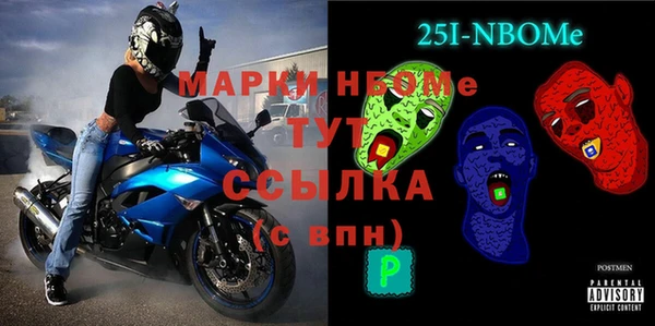 дживик Бородино