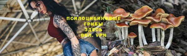 марки lsd Бугульма